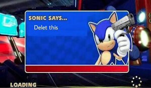 Sonic Says... Delet this by JinTheWei