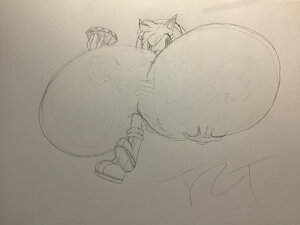 Giga-Titty Amy Rose Drawing Complation by coooodoooo12