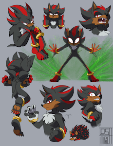 where do stripes go by losttimpactt