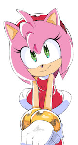 Amy Rose and Rusty Rose art by randomguy999