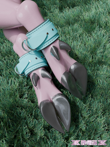 Reindeer Feet in 3D from Xnix by masterreviewer1000