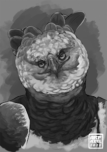 You like kissing birds, don't you? [By Arf Axel] by Ferobird69