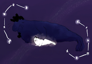 the night sky and his little star by Hinako20