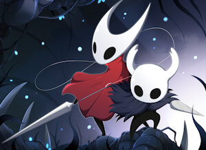 Hollow Knight by toruu90