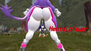 Sonic Rush cornered by Hentaiplayer