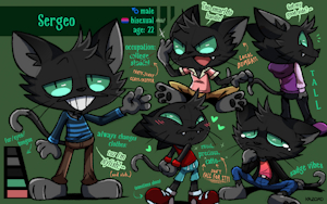 Sergeo the Cat: Ref Sheet by KAZOKO