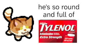 tylenol by paddedpurr