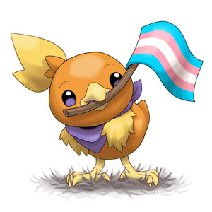 Torchic says trans rights! - Commissions open by claragonza3