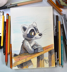 International Raccoon Appreciation Day by pandapaco
