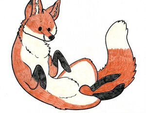 Bob the red fox by Cheetahmikey