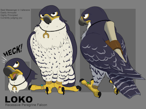 Loko by McFan