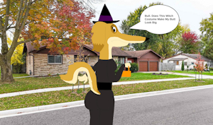 Honey Witch Costume by sebashton