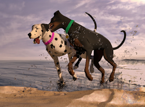 Fun at the Beach by KaerfFlow