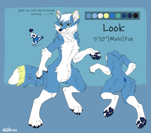 Ref Sheet by LookFox