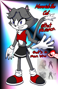 Sonic OC - Maverick by thatpokaimon