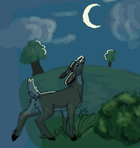 Magical Evening by PookaPools