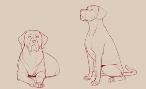 Doggoid doodles by Dewebu