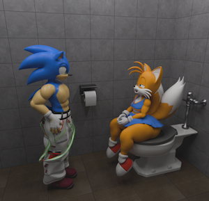 Sonic and Tails in the shitters! by Dragon696