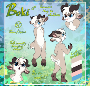 Boki Reference Sheet by bokibaa
