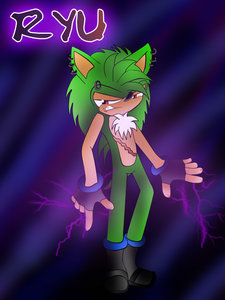 Ryu the Hedgehog 2013 Profile by ShadamyMephonic