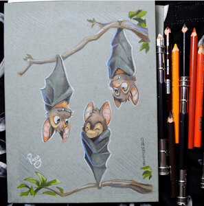 Australian Bat by pandapaco