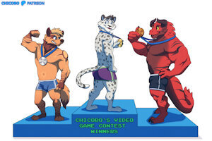 Video game contest winners by chicobo