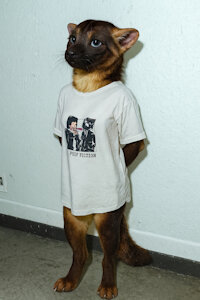 Chocolate - T-Shirt by AquaVixen