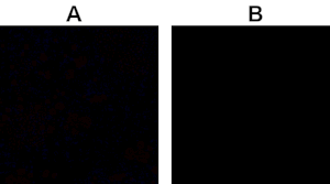 Just Trying to Figure Something Out by InsaneProxy