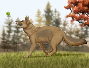 Catching the ball by PaperWings