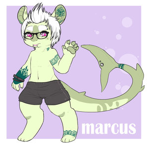 marcus the shark by reisar