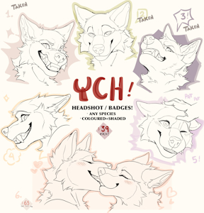 Ych OPEN by fights