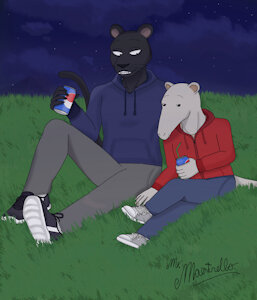 Tao and kibi by Mrmaestrello