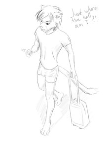 Travelling by Ryotsuke