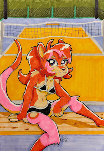 DTIYS - Ready For Another Game? 🏐 by AciedSpade