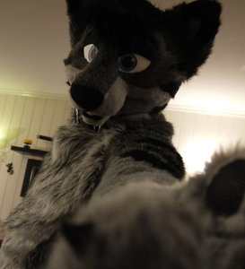 T-Fangz, New suit by Fangz