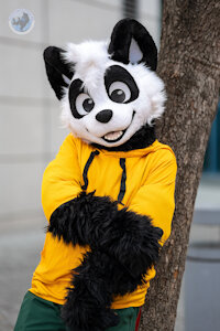 The Panda Boy by pandapaco