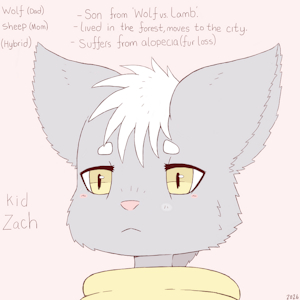 Kid Zach by hanage1