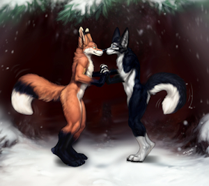 Doon & Bower in a winter wonderland by sunitai