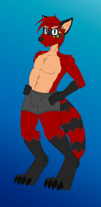 Xander the Raccoon by Calvaris