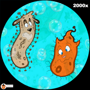 Single Cell Furry by Kanada