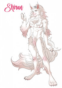 Shiran by Geminusart
