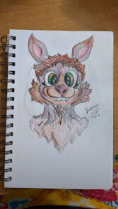 Treoy the Coyobit by AdirielCipher