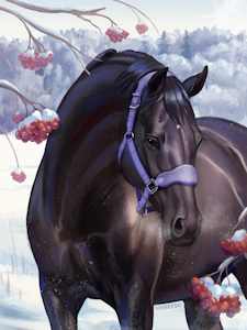 Black for N&SN by MsBeesa