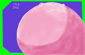 LOOOOMY Huge Kirby by PokeChamp8