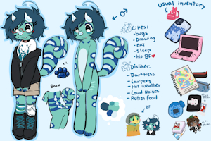 SONA character sheet by SHOTAFAG