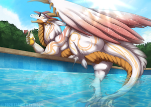 Pool Party by ShadowEyenoom