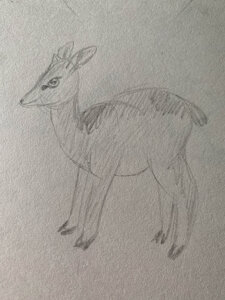 Forbidden Dik Pic by Castrovalva