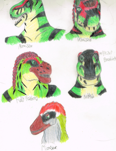 The Many Faces of Saurraptor by Bellumsaur