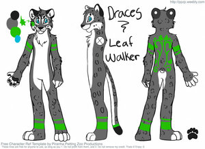 Draces Ref Sheet by draces