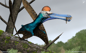 "Crocodile Hawks" by Harpagornis